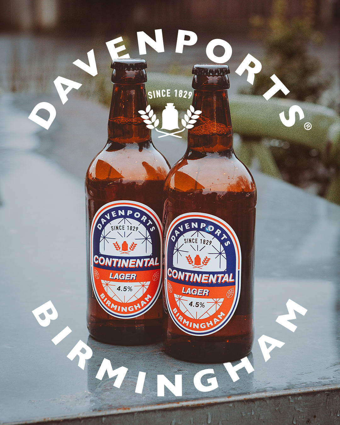 Davenports Continental Lager 12 x 500ml only at £29.95 - Davenports Brewery